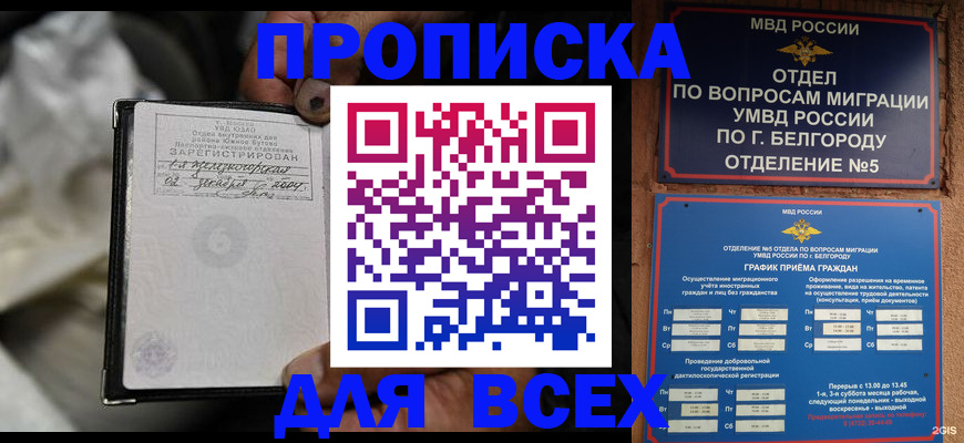 где прописаться в Лесном
